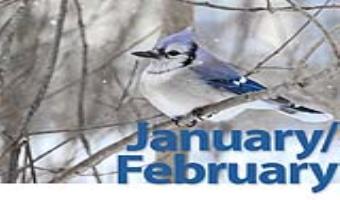 January-February 2023 Home Care News by Angels